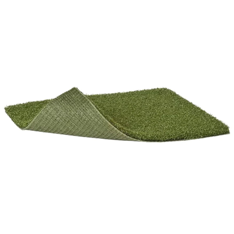 TIGS Money Putt Golf Turf